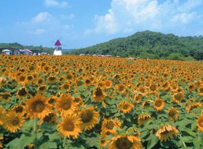 山口日産 周南久米店 ブログ