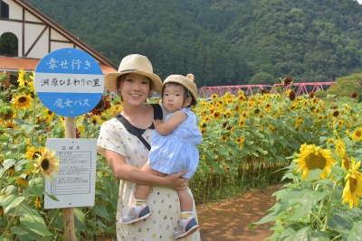 洲原ひまわりの里 岐阜県美濃市下河和468 3 ひまわり畑ネット