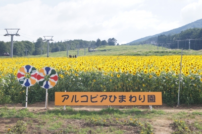 Arkopia アルコピア ひまわり園 岐阜県高山市久々野町無数河4141 飛騨舟山スノーリゾートアルコピア ひまわり畑ネット